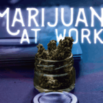 marijuana state laws